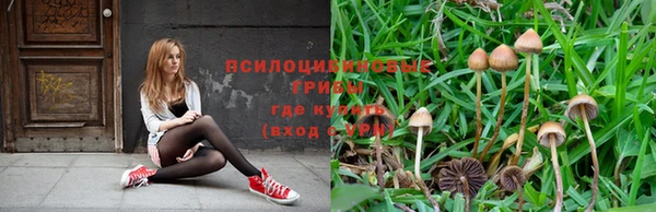 метадон Приозерск