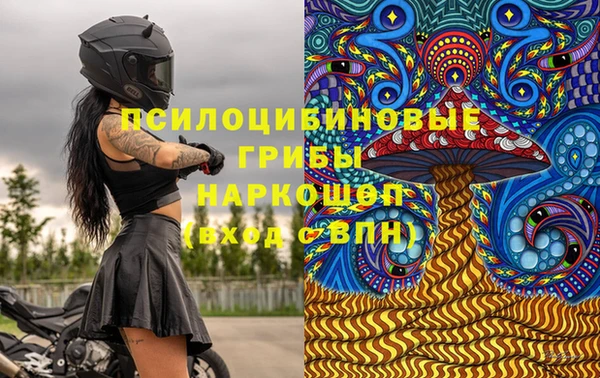 стаф Пролетарск