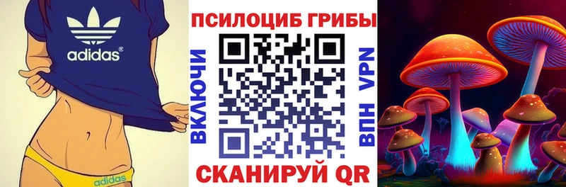 Купить закладки Алейск Галлюциногенные грибы ЛСД